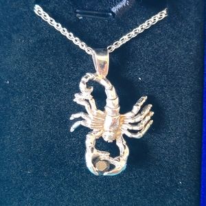 Custom scorpion pendant set in platinum with 0.25 black diamond on silver chain.